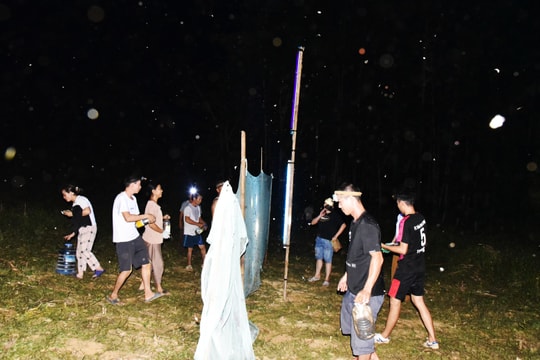 'Tôm rừng' bay về bản, người dân vùng cao xứ Nghệ trắng đêm bắt bán thu tiền triệu