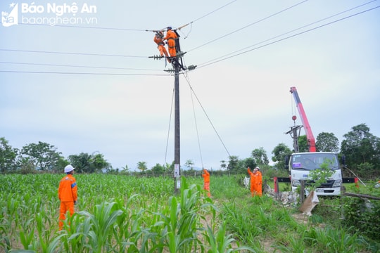 Chủ tịch UBND tỉnh Nghệ An chỉ đạo thực hiện kịp thời các nhiệm vụ cấp bách về điện năng