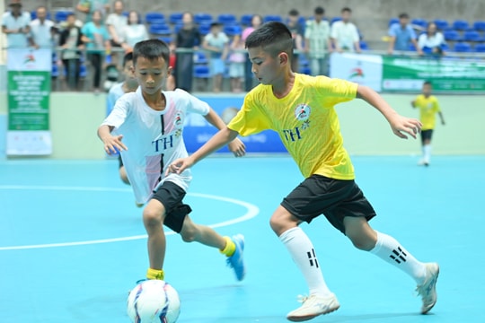 Highlight Nhi đồng Hoàng Mai - Nhi đồng Nghĩa Đàn: 3-0