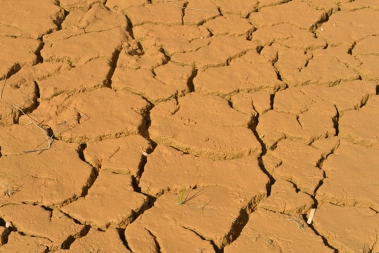 Nhiều hồ chứa ở Nghệ An cạn trơ đáy