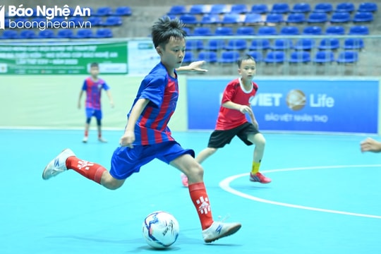 Trực tiếp Giải Bóng đá TN-NĐ Cúp Báo Nghệ An: Nhi đồng Thái Hoà - Nhi đồng Hưng Nguyên