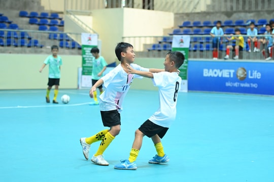 Bên lề sân cỏ: ‘Hai ba con mực, Hoàng Mai đá hay cực’!