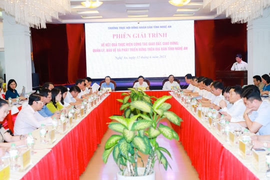 Thường trực HĐND tỉnh Nghệ An tổ chức phiên giải trình về công tác giao đất, giao rừng, quản lý, bảo vệ và phát triển rừng