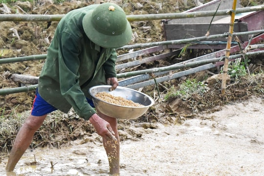 Nắng hạn kéo dài thiếu nước tưới, nông dân vùng cao Nghệ An chưa thể gieo cấy lúa vụ mùa