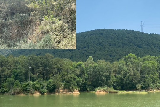 Đường băng cản lửa rừng ở nhiều xã trên địa bàn Nghệ An còn thiếu và yếu