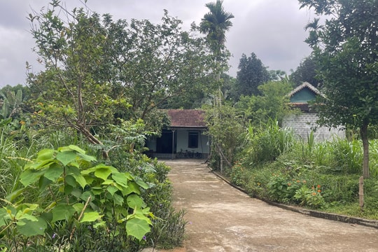 Anh Sơn: Nhiều hộ dân bị cấp đất lâm nghiệp trùm lên đất ở