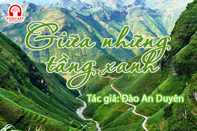 Tản văn hay: Giữa những tầng xanh