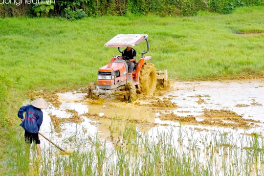 Nông dân vùng cao tìm nước gieo cấy lúa vụ mùa