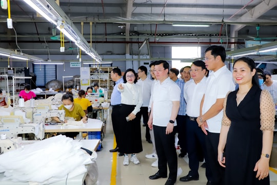 Chủ tịch UBND tỉnh Nguyễn Đức Trung kiểm tra các dự án tại huyện Đô Lương