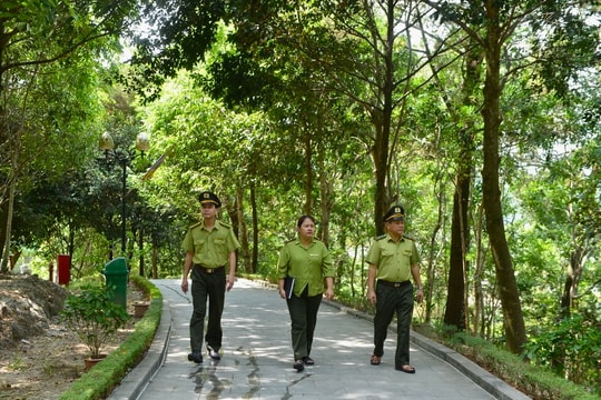 Canh lửa rừng ở núi Dũng Quyết 