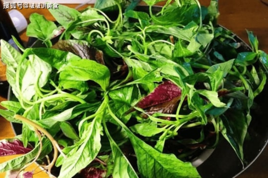 Loại rau 'bổ hơn thịt, rẻ như cho' được mệnh danh là thần dược cho sức khỏe