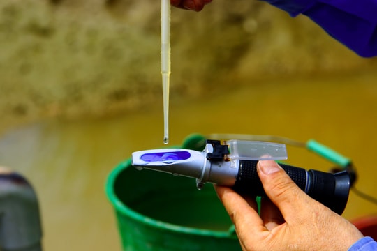 Chưa hết hạn hán, nông dân Nghệ An lại lo xâm nhập mặn