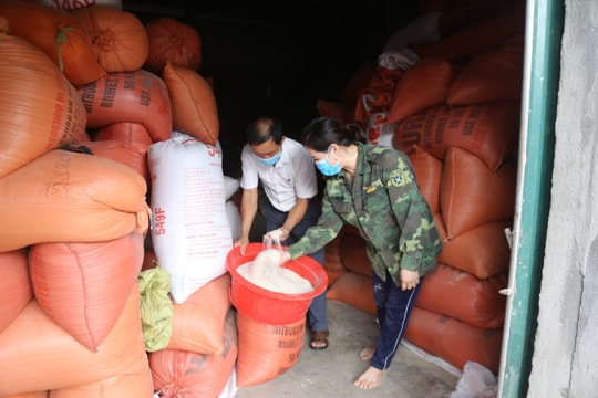 Giá cà phê trong nước vẫn duy trì mức cao; Giá gạo xuất khẩu tăng 5 USD/tấn, thương lái thu mua nhiều