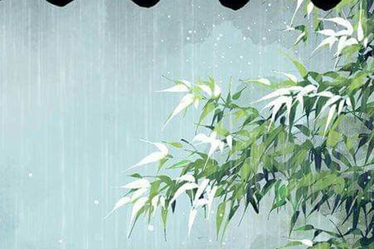 Cơn mưa 'giải nhiệt' ở Nghệ An