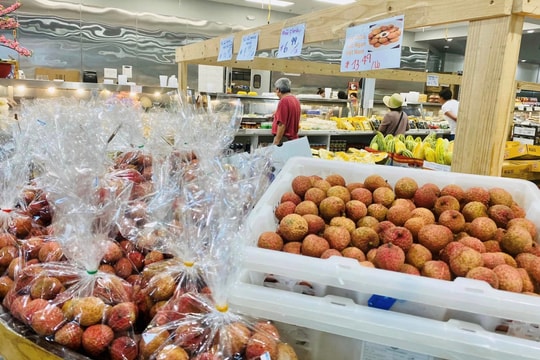 Vải thiều Bắc Giang sang Mỹ giá hơn 750.000 đồng/kg; Giá lợn hơi ghi nhận mức cao nhất 63.000 đồng/kg