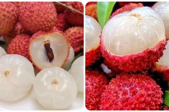 Bài thuốc chữa bệnh từ quả vải 