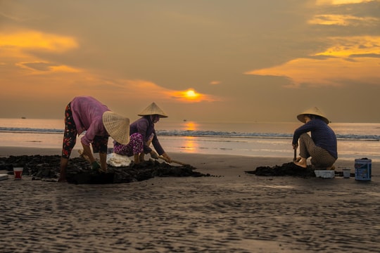 Vất vả mưu sinh nghề cào ngao ở Hoàng Mai