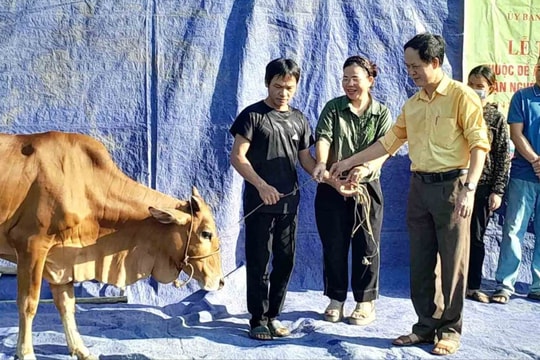 Ủy ban MTTQ huyện Anh Sơn trao tặng 20 con bò giống cho các hộ nghèo, hộ cận nghèo