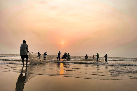  'Đi giật lùi' trên biển, ngư dân Nghệ An kiếm nửa triệu mỗi ngày