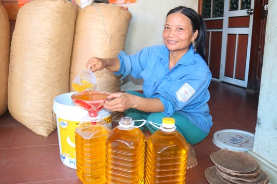 Nghề ép dầu lạc ở Thanh Chương chạy hàng, được giá