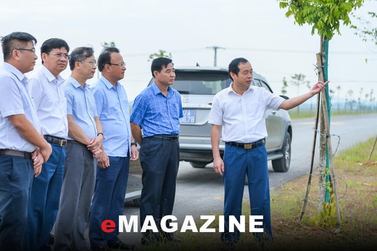 Thúc đẩy những quyết sách tạo động lực phát triển kinh tế - xã hội