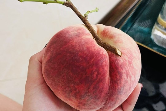 Smartphone giảm giá mạnh; 'Đào tiên' Trung Quốc đắt đỏ vẫn 'hút' khách