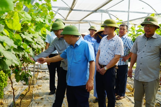 Vướng mắc trong thực hiện chính sách hỗ trợ phát triển sản xuất nông nghiệp 