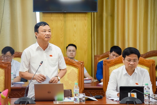 Đại biểu HĐND tỉnh phản ánh hệ lụy lao động miền núi thiếu việc làm