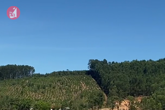 Nghệ An nắng nóng kéo dài, đồng khô, hồ cạn