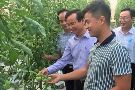 Quỳnh Lưu phấn đấu hoàn thành các chỉ tiêu Nghị quyết Đại hội Đảng các cấp, nhiệm kỳ 2020-2025