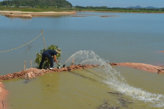 Xã miền núi huyện Nghi Lộc huy động 5 bơm dã chiến hút chuyền nước lòng hồ cứu lúa