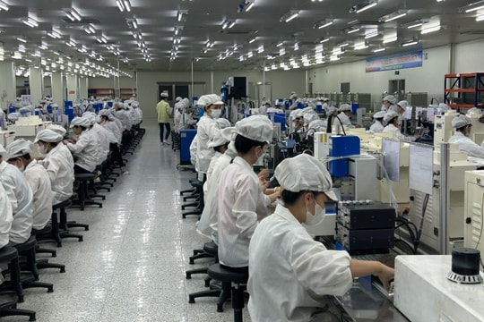 Xác định các yếu tố ảnh hưởng tới thu ngân sách 6 tháng đầu năm ở Nghệ An