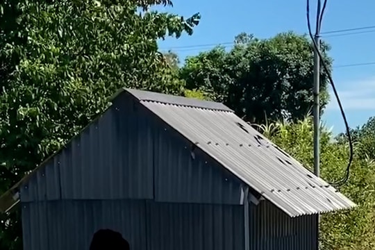 Xã miền núi huy động 5 bơm dã chiến hút nước cứu lúa