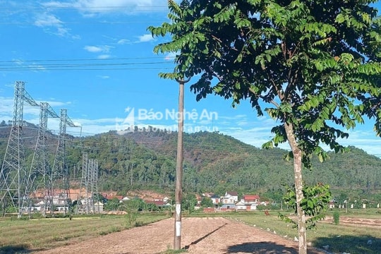 Đã khống chế được cháy rừng ở Nam Đàn