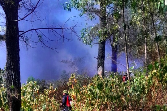 Huy động lực lượng khống chế đám cháy rừng tại Diễn Châu