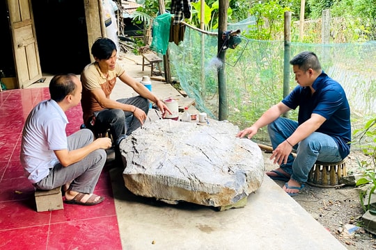 Sạt lở núi, cả tảng đá rơi vào nhà dân ở vùng biên xứ Nghệ