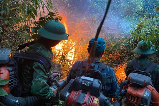 Khống chế thành công đám cháy rừng tại huyện Diễn Châu