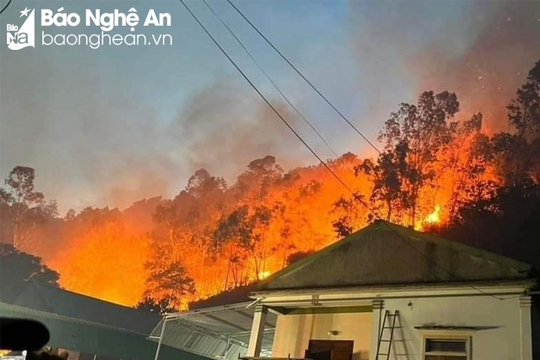 Khống chế được cháy rừng ở Nam Đàn
