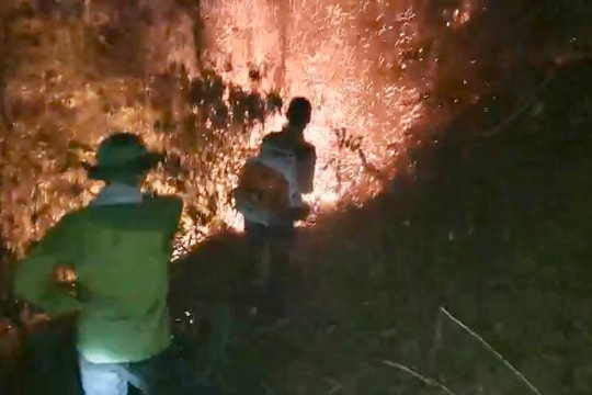 Điều tra nguyên nhân làm cháy rừng ở Nam Đàn 