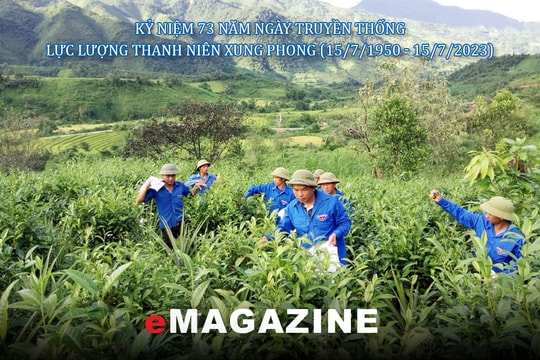 Giữ mãi ngọn lửa nhiệt huyết trong lực lượng Thanh niên xung phong