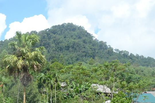 Xã miền núi Nghệ An được khen thưởng vì không có trường hợp sinh con thứ 3