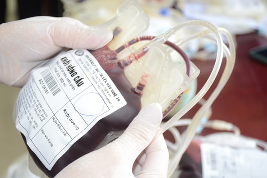 Tuổi trẻ ngành Y tế Nghệ An tổ chức hiến máu cứu người dịp Hè