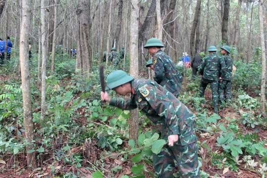 Hơn 300 cán bộ, chiến sĩ, đoàn viên thanh niên tham gia phòng, chống cháy rừng ở Quỳnh Lưu
