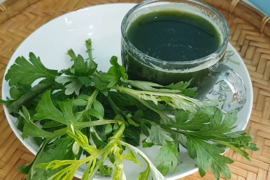 Làm đẹp da bằng ngải cứu chị em nên biết