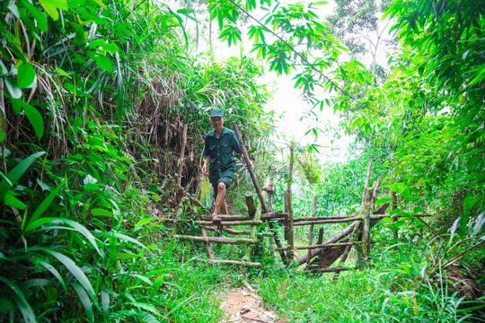 Cuộc sống biệt lập giữa rừng của một cựu chiến binh 