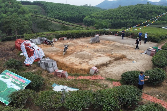 Phát hiện, xử lý thêm một trường hợp xây dựng trái phép công trình trên Đảo Chè