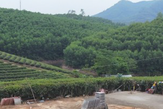 Thêm một công trình không phép ở Đảo Chè