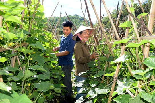 Sự hồi sinh trên vùng lũ quét Kỳ Sơn