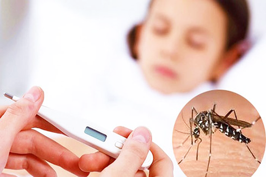 Sốt xuất huyết dengue 2023 đang là gánh nặng toàn cầu
