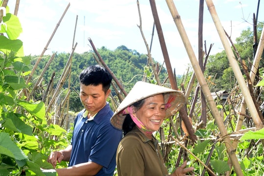 Xanh lại vùng đất tưởng chừng không thể hồi sinh